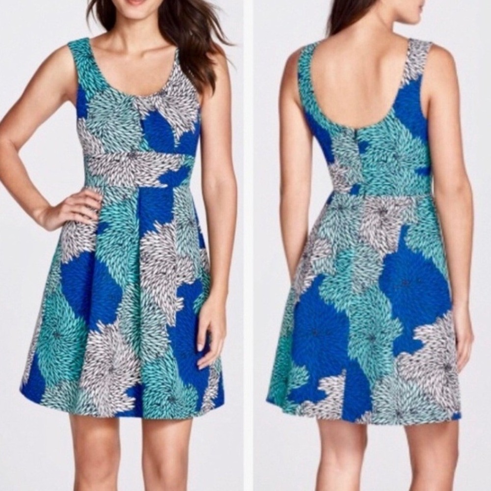 Plenty by Tracy Reese Ania Dress Size 6 Bursting Mums Fit Flare Anthro